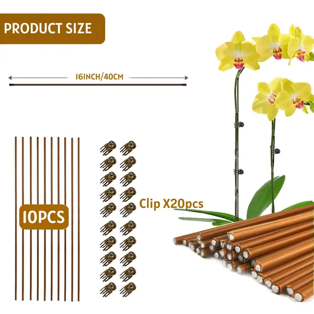 Tige pliable en métal marron avec clips, entourée de fleurs d'orchidées jaunes sur fond blanc