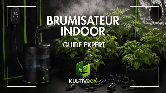 Brumisateur indoor dans une chambre de culture avec plantes vertes, vapeur d’humidité et accessoires hydroponiques
