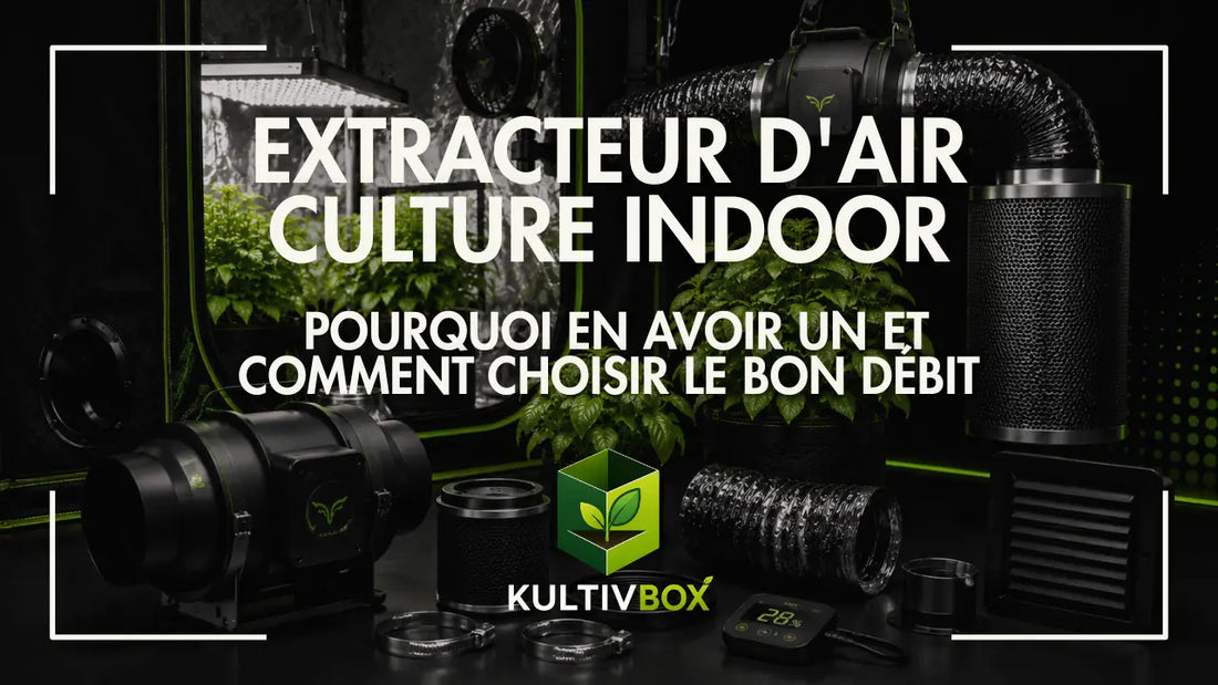 Extracteur d’air pour culture indoor avec gaine, filtre à charbon et plantes dans une chambre de culture