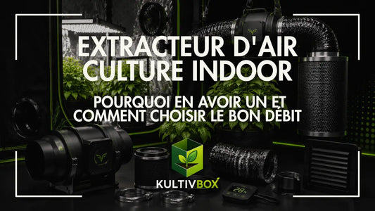 Extracteur d’air pour culture indoor avec gaine, filtre à charbon et plantes dans une chambre de culture