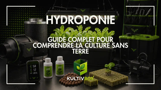 Système hydroponique indoor avec jeunes plants, extracteur, testeurs pH et accessoires de culture sans terre