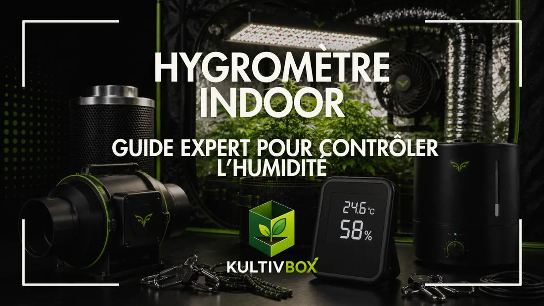 Hygromètre indoor affichant température et humidité avec extracteur, humidificateur et plantes en chambre de culture