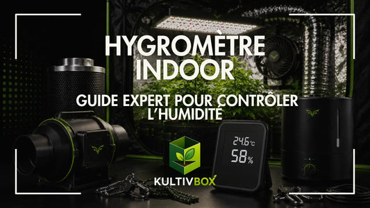 Hygromètre indoor affichant température et humidité avec extracteur, humidificateur et plantes en chambre de culture