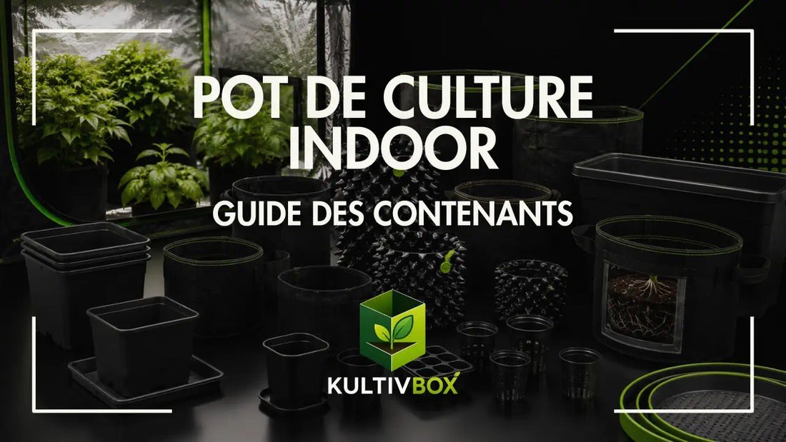 Pots de culture indoor variés avec contenants noirs, paniers hydroponiques et plantes vertes en arrière-plan