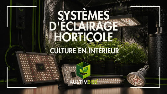 Systèmes d’éclairage horticole avec panneaux LED, ampoule de culture et plantes en chambre indoor