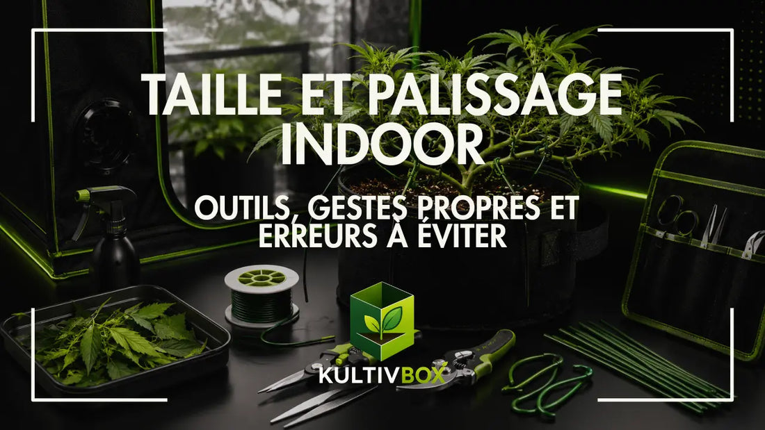 Outils de taille et palissage indoor avec ciseaux, liens verts, fil de jardinage et plantes en culture
