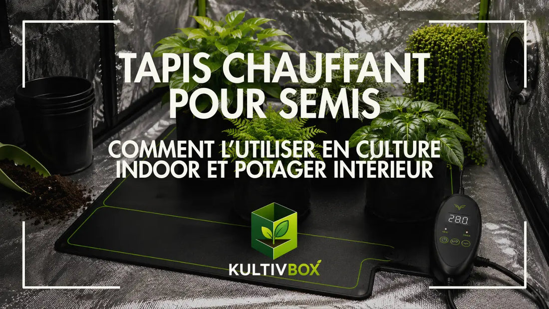 Tapis chauffant pour semis avec thermostat, pots de culture et jeunes plantes en chambre indoor