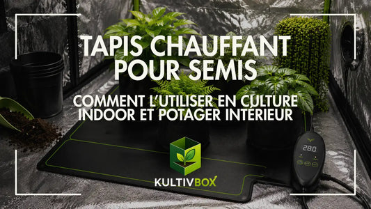 Tapis chauffant pour semis avec thermostat, pots de culture et jeunes plantes en chambre indoor