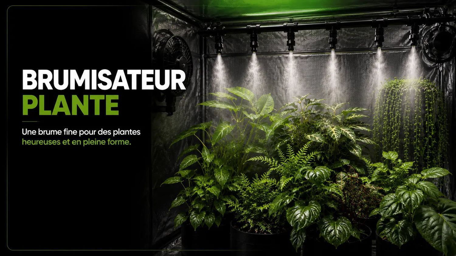 Brumisateur pour plantes avec brume fine entouré de feuillages luxuriants et verdoyants
