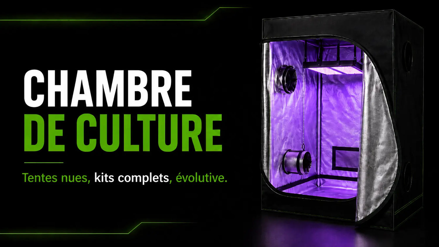 Tente de culture noire avec éclairage intérieur violet et ventilation visible sur les côtés