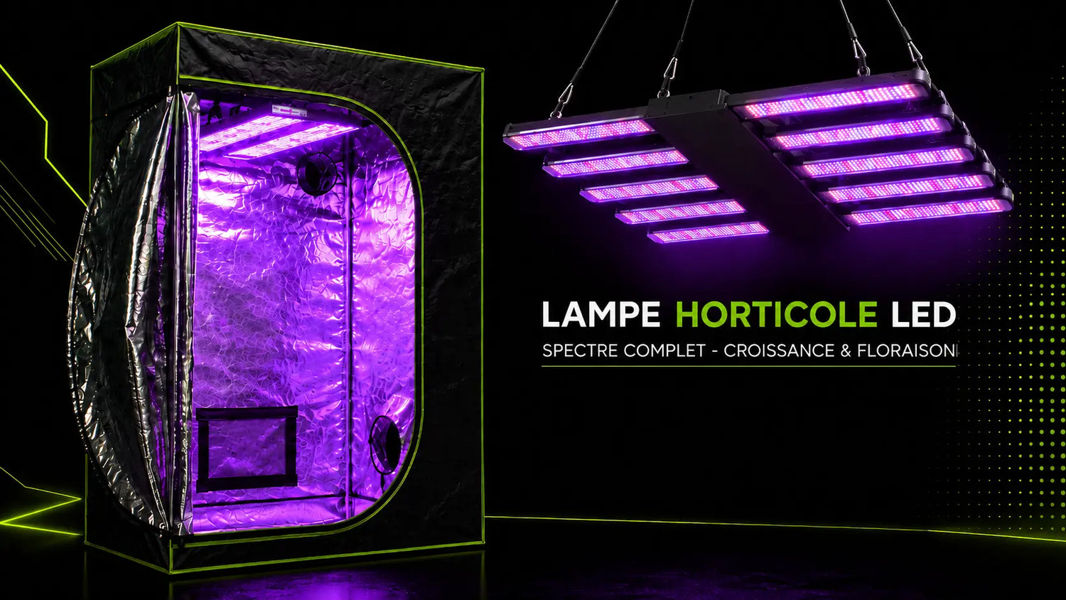 Tente de culture avec éclairage LED horticole violet et intérieur réfléchissant pour la croissance des plantes