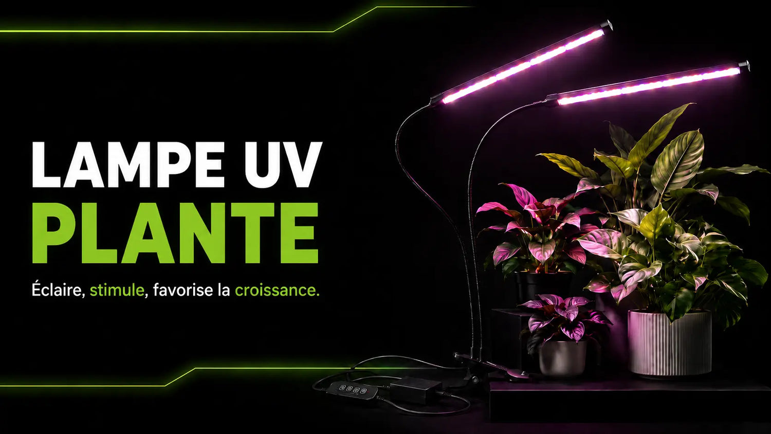 Lampe UV pour plantes avec deux tubes lumineux et des plantes en pot sur un fond sombre