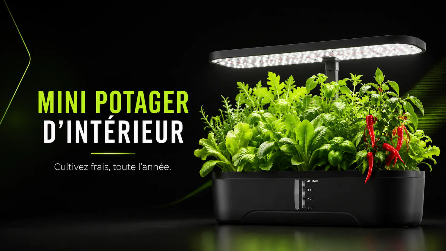 Mini potager d'intérieur avec des plantes vertes et des piments sous une lumière LED brillante