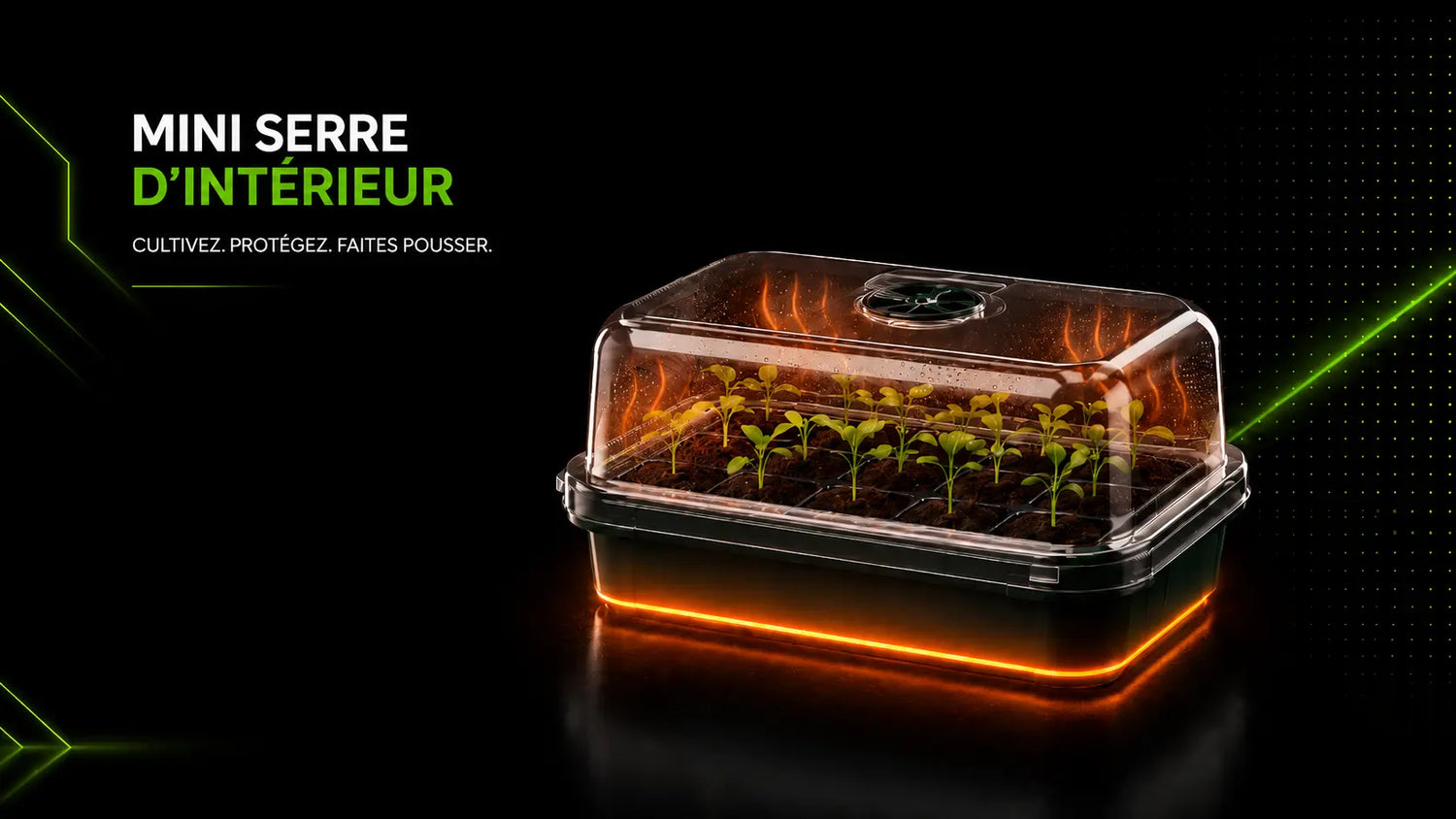 Mini serre d'intérieur avec des plants en croissance sous un couvercle transparent et une base noire
