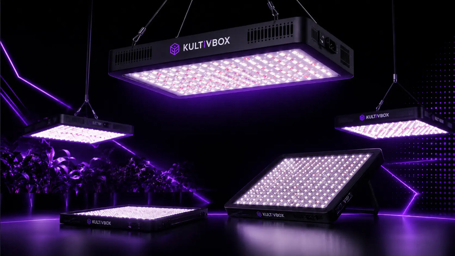 Panneaux LED horticoles suspendus émettant une lumière violette dans un environnement sombre avec des plantes en arrière-plan