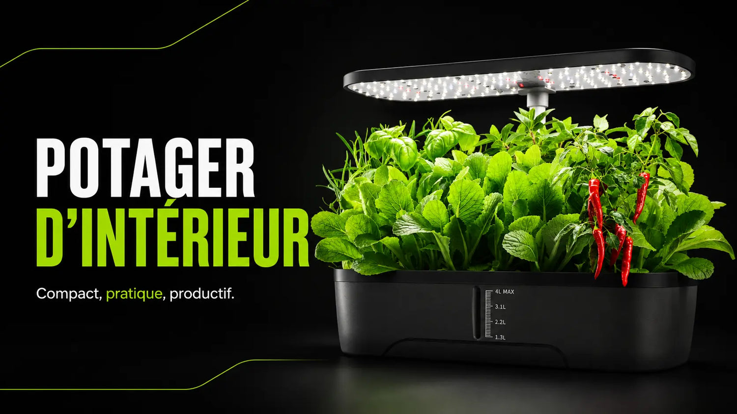 Un potager d'intérieur avec des plantes vertes et des piments rouges sous une lumière LED