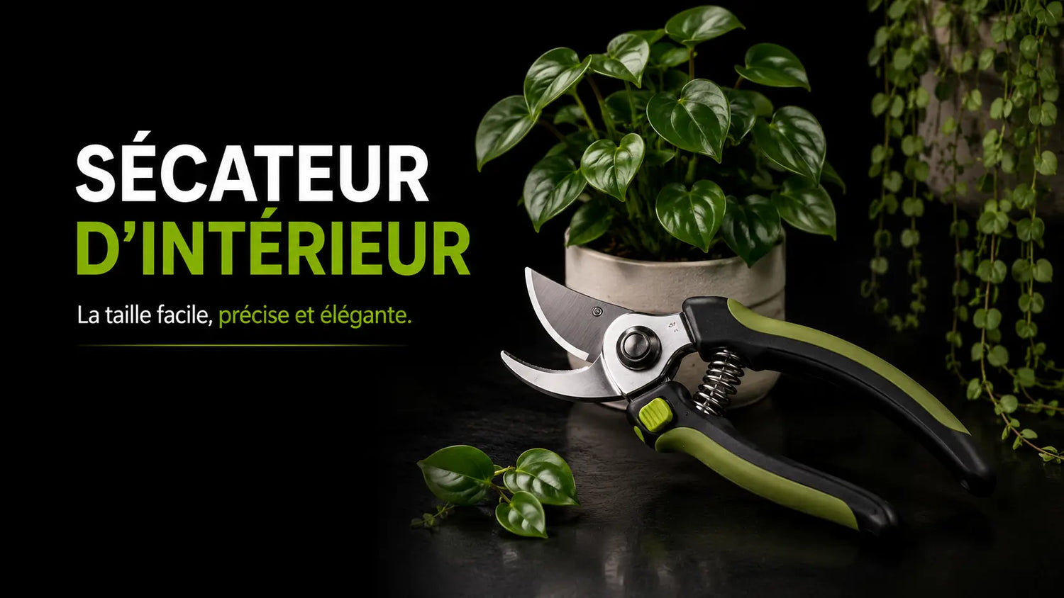 Sécateur posé à côté d'une plante verte sur un fond sombre et élégant