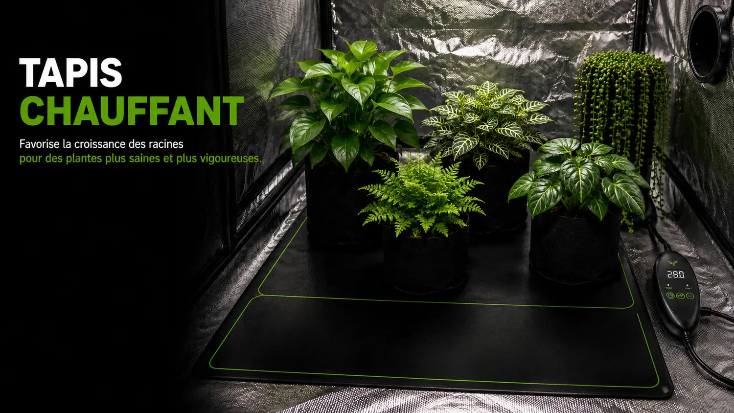 Tapis chauffant avec plusieurs plantes en pot sur un fond noir et argenté dans une tente de culture
