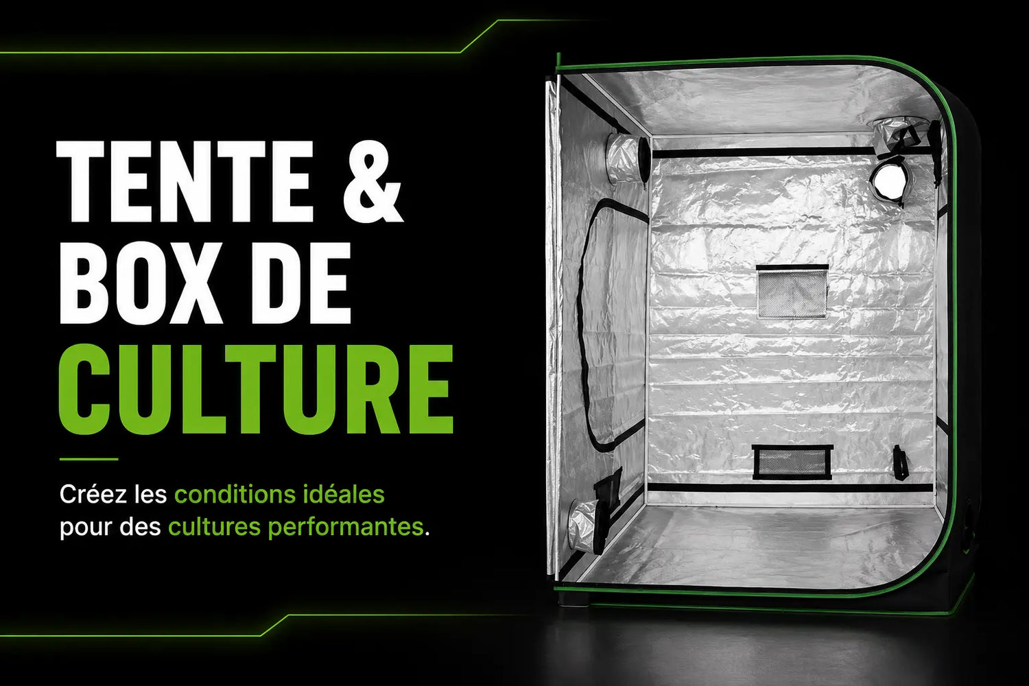 Intérieur d'une tente de culture avec parois réfléchissantes et ouvertures pour ventilation