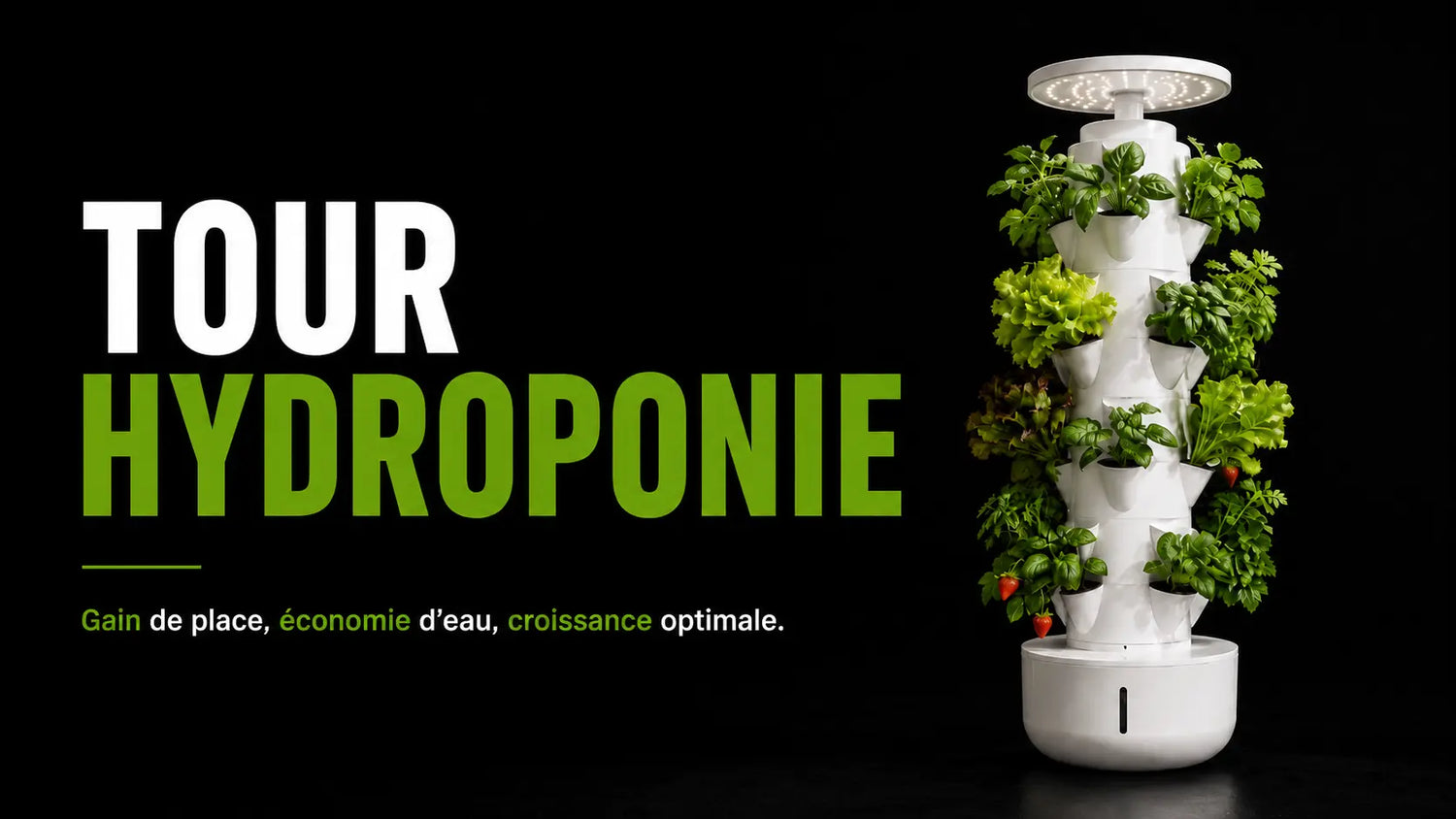 Tour hydroponique blanche avec des plantes vertes disposées en étagères sur fond noir