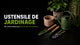 Ustensile de Jardinage
