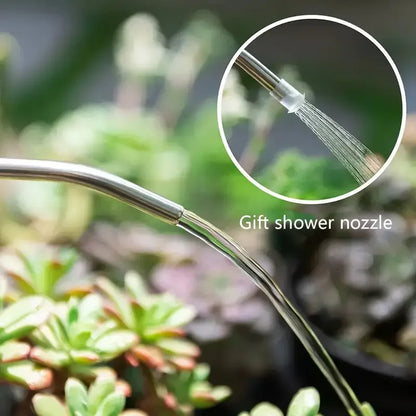 Arrosoir transparent avec bec long en inox, arrosant des plantes vertes en arrière-plan flou