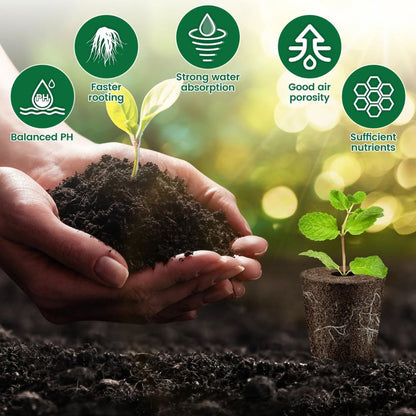 Main tenant une plante verte avec un sol noir, arrière-plan flou de terre et lumière naturelle