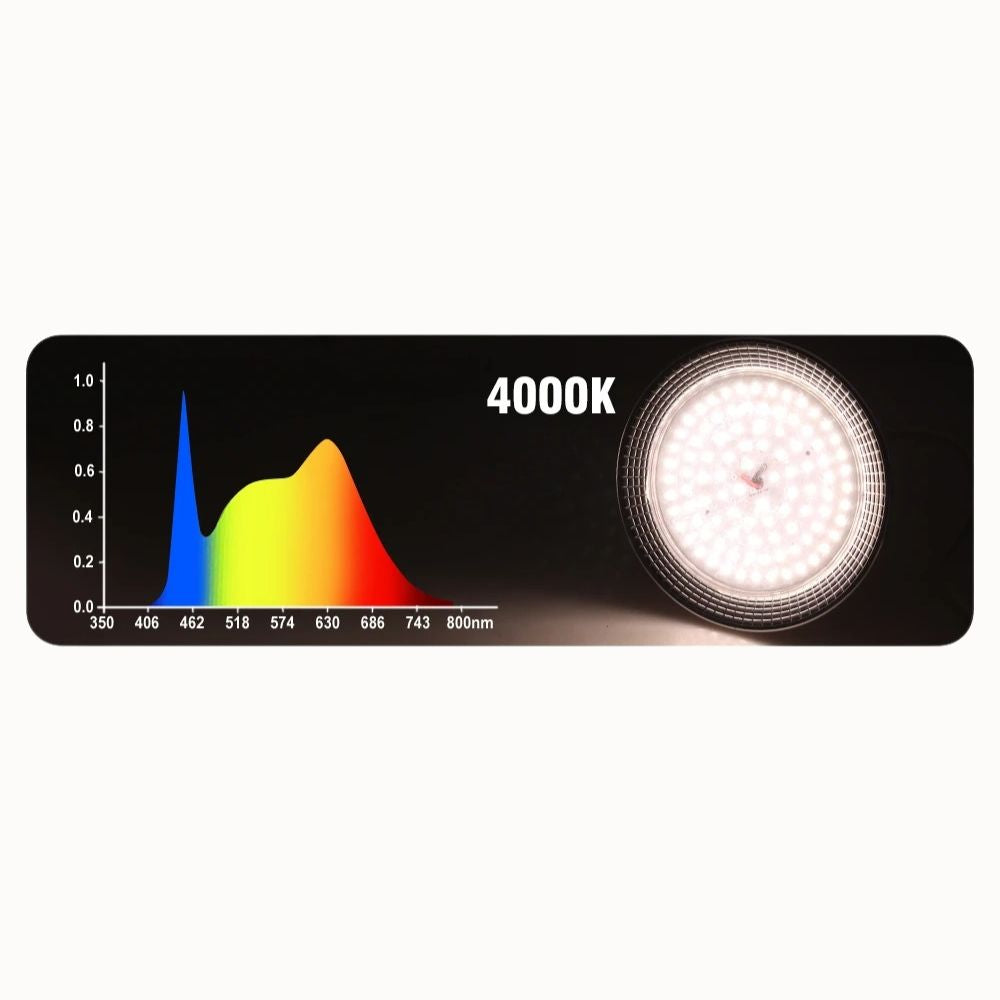 Ampoule LED horticole avec un spectre lumineux coloré et une lumière blanche brillante en arrière-plan