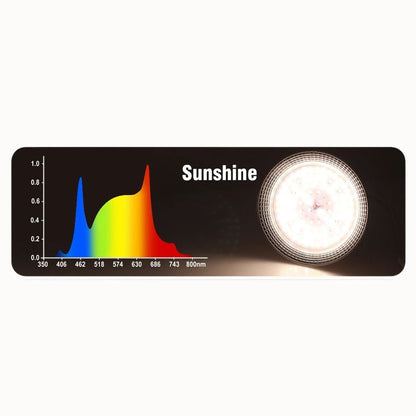 Graphique coloré représentant un spectre lumineux avec une ampoule circulaire brillante à droite