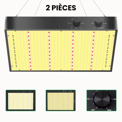 Éclairage LED pour chambre de culture intérieure avec deux panneaux et réglages d'intensité