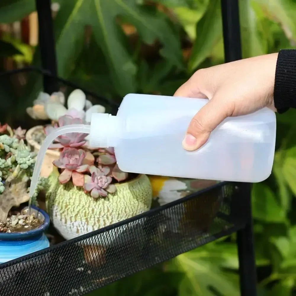 Main dans un arrosoir transparent versant de l'eau sur des plantes succulentes dans un pot décoratif