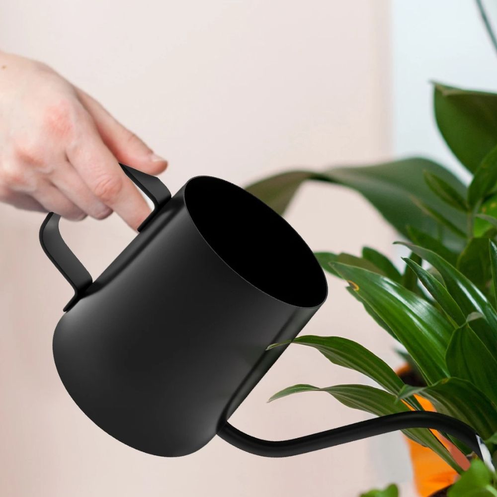 Arrosoir noir en acier inoxydable avec une poignée, versant de l'eau sur des plantes vertes
