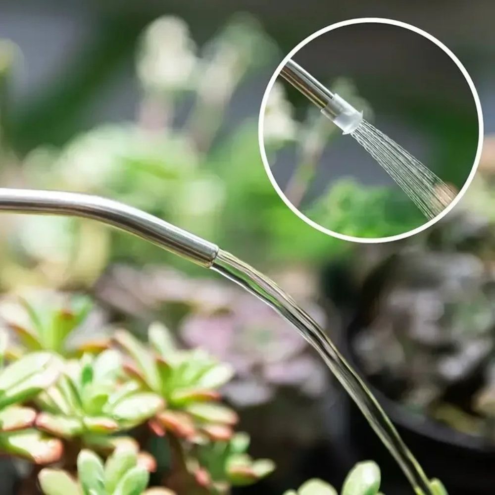 Arrosoir gris anthracite en métal avec un long bec et une pomme d'arrosage fine sur des plantes vertes