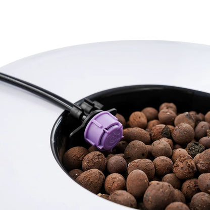 Bac hydroponique blanc avec billes d'argile et tuyau noir pour irrigation des plantes