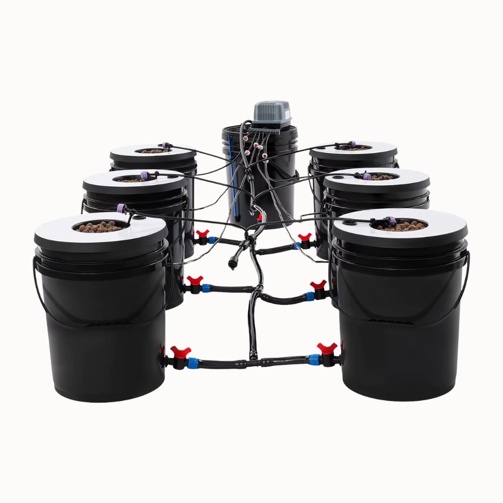 Système de culture hydroponique avec sept réservoirs noirs et tuyaux connectés en plastique