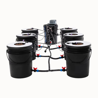Système de culture hydroponique avec sept réservoirs noirs et tuyaux connectés en plastique