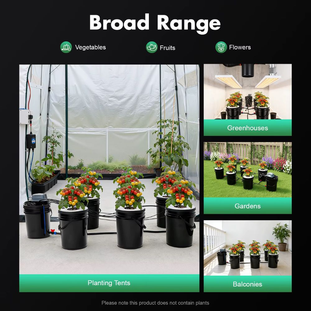 Intérieur d'une serre avec pots noirs contenant des plantes fleuries et un éclairage suspendu