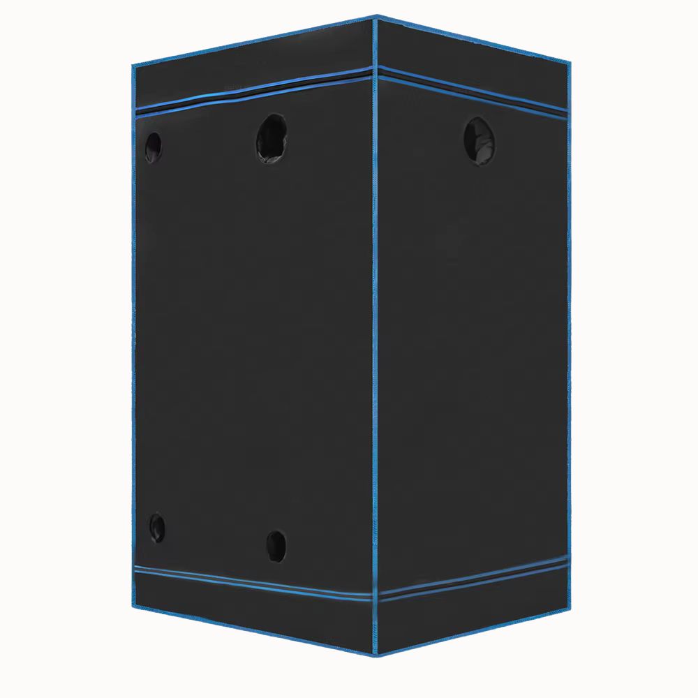 Chambre de culture noire avec des lignes bleues, forme rectangulaire et plusieurs ouvertures sur les côtés