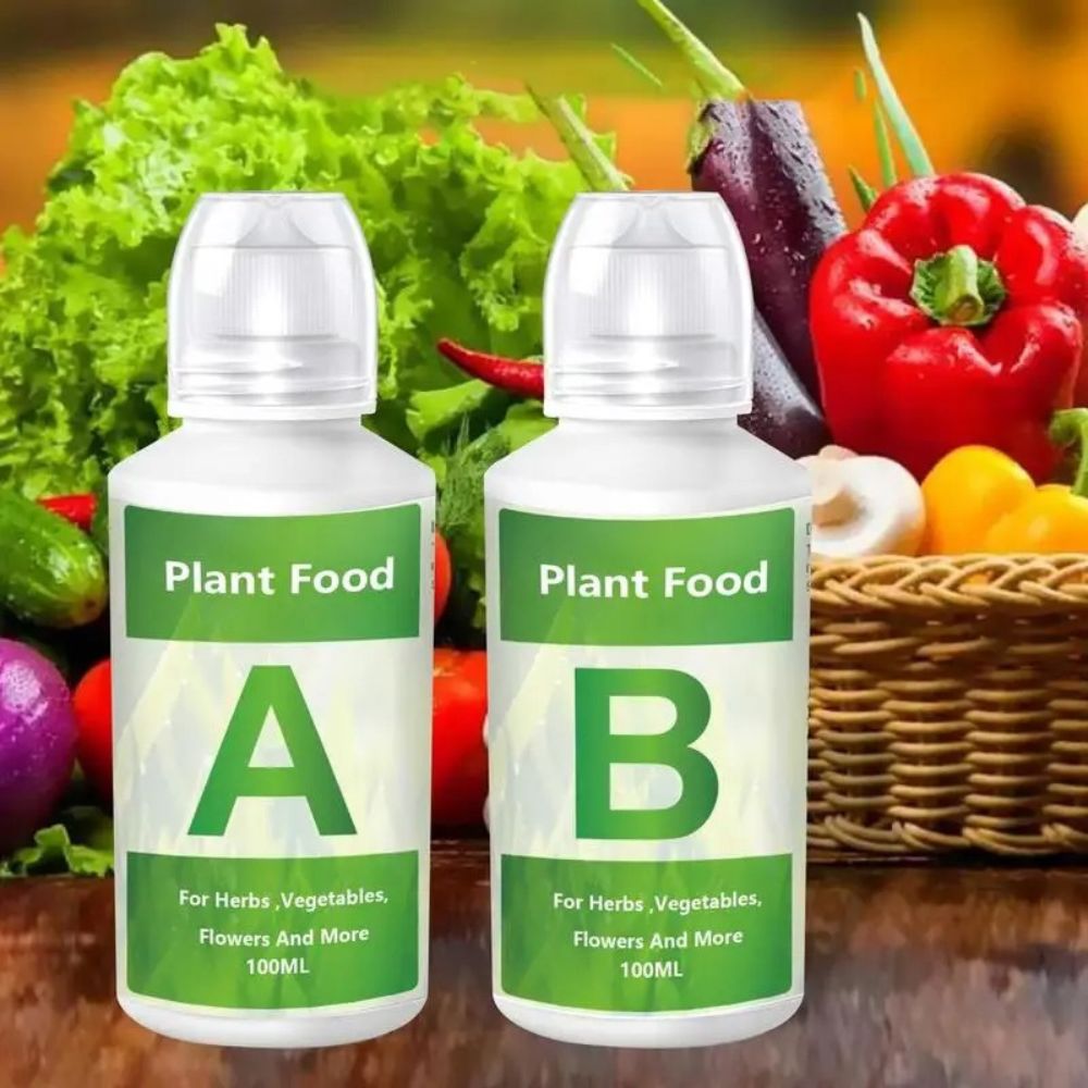 Engrais Hydroponie A&B : Granulés Nutritifs 2 × 100 ml pour Culture en Intérieur