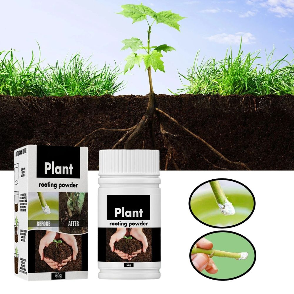 Engrais Hydroponique en Poudre : Solution d'Enracinement aux Acides Aminés