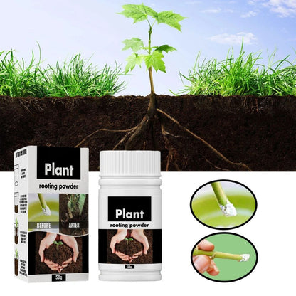 Engrais Hydroponique en Poudre : Solution d'Enracinement aux Acides Aminés