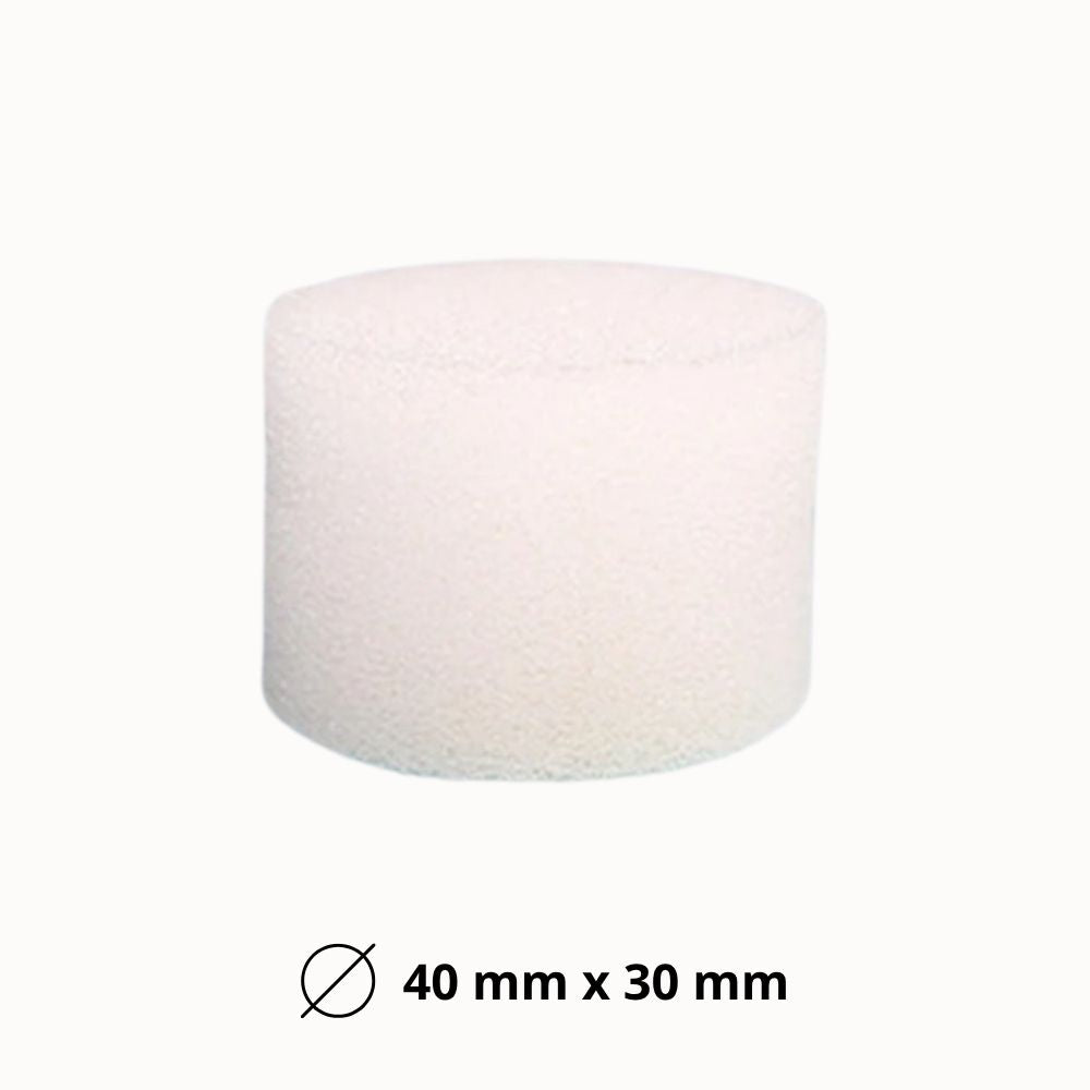 Éponge ronde blanche de 4 cm de diamètre, texture poreuse et surface lisse, sur fond neutre