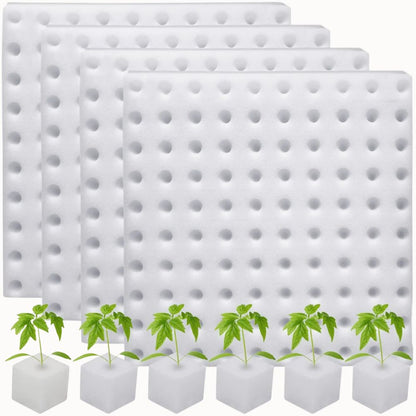Quatre éponges blanches avec des trous, accompagnées de jeunes plants verts dans des cubes blancs