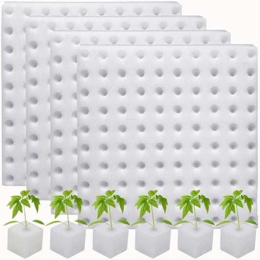 Quatre éponges blanches avec des trous, accompagnées de jeunes plants verts dans des cubes blancs