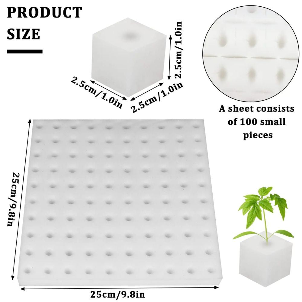 Éponge blanche de 25x25 cm avec de nombreux petits trous pour l'enracinement des plantes