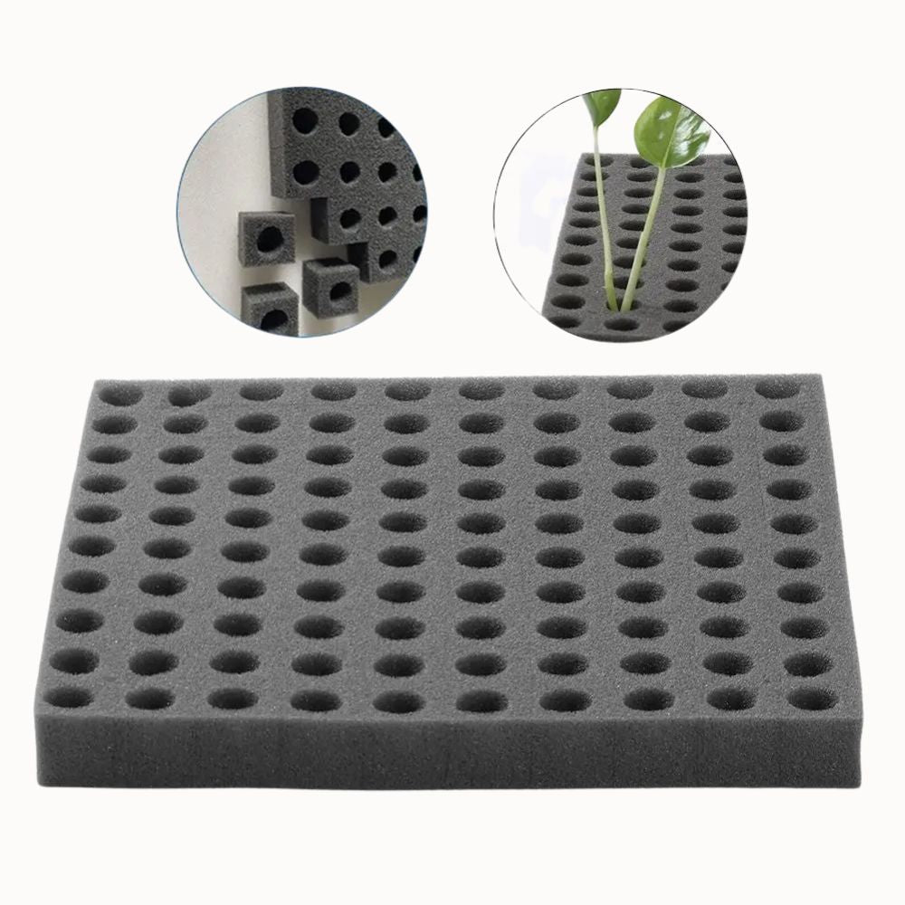 Éponge noire avec de nombreux trous, idéale pour le semis de plantes hydroponiques