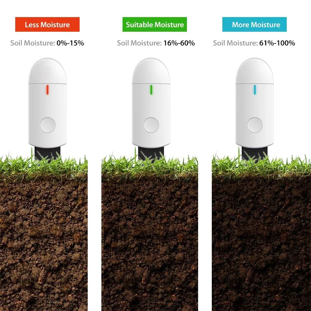 Trois hygromètres de plantes avec des indicateurs de couleur rouge, vert et bleu sur un sol marron