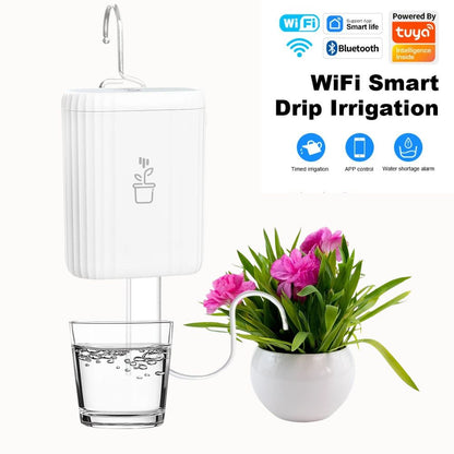 Système d'arrosage automatique avec réservoir d'eau et plante en pot décoratif à côté