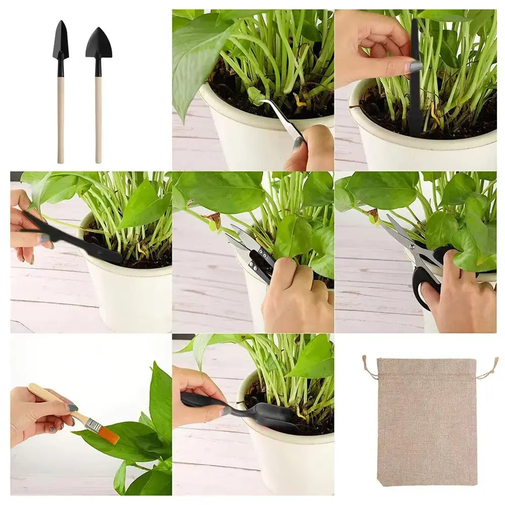 Outils de jardinage en bois et métal, plantes vertes dans un pot blanc, fond clair et neutre