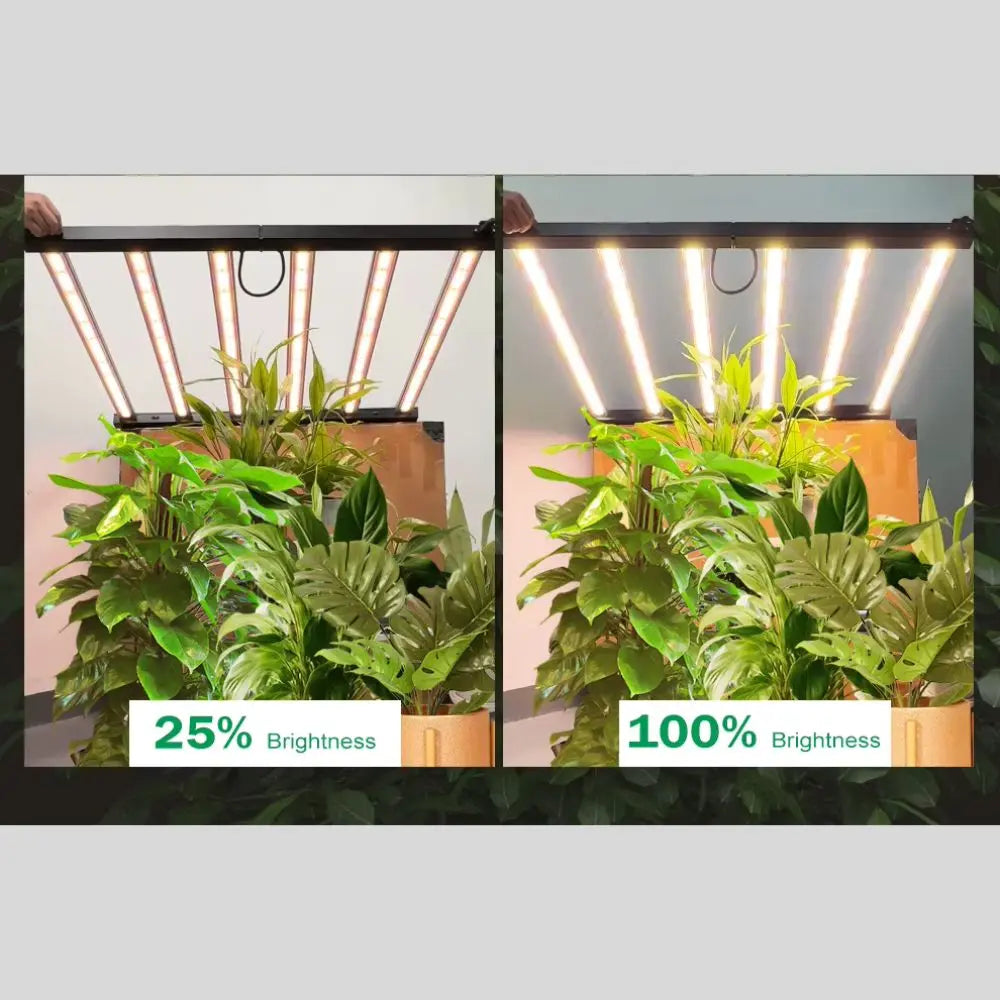 Panneau LED avec barres lumineuses au-dessus de plantes vertes luxuriantes dans un décor intérieur